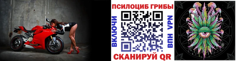 Псилоцибиновые грибы Psilocybe  Купить закладки  Микунь 